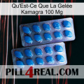 What Is Kamagra Jelly 100Mg viagra2
